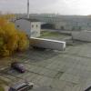 IM000540